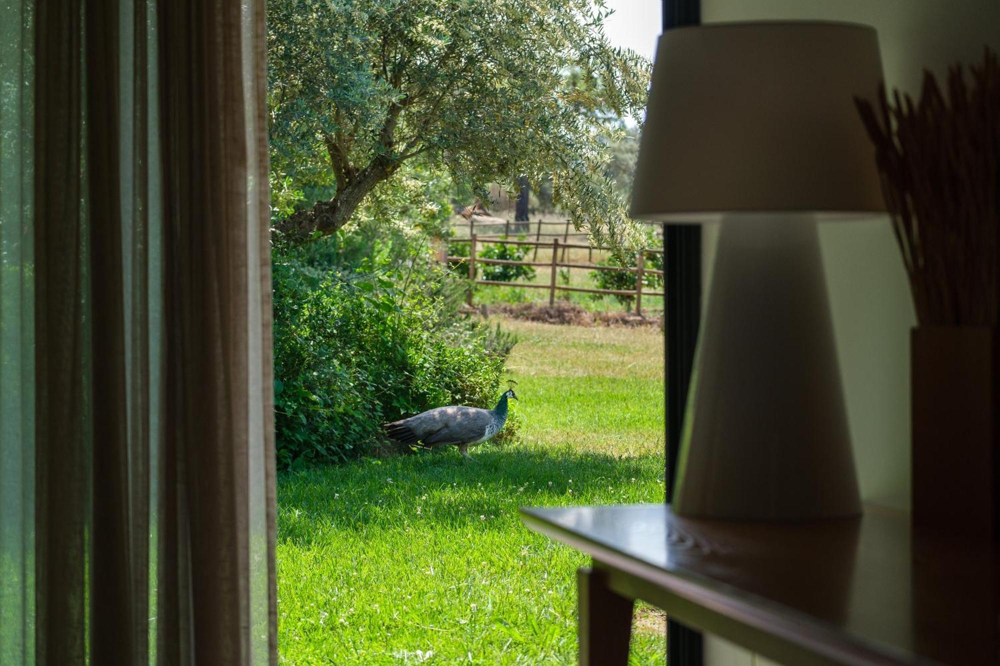 Herdade Da Cortesia Hotel 阿维斯 外观 照片